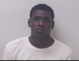 Investigation Leads to Three Arrests in Entering Auto Thefts