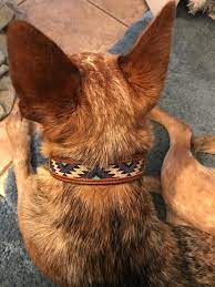 How To Clean A Custom-Beaded Dog Collar – Southwest Distinctions Custom  Leather Products