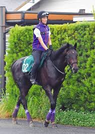 Maybe you would like to learn more about one of these? è‰¯è¡€é¦¬ãƒ•ã‚£ãƒ‡ãƒ«ãŒ1ç•ªäººæ°—ã«å¿œãˆåˆé™£é£¾ã‚‹ å°å€‰5ræ–°é¦¬ ä¸­æ—¥ã‚¹ãƒãƒ¼ãƒ„ æ±äº¬ä¸­æ—¥ã‚¹ãƒãƒ¼ãƒ„