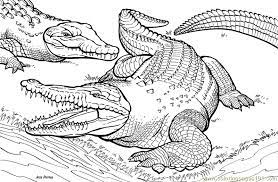 Here are 10 fantastic free alligator and crocodile coloring pages for everyone in your family. Crocodile Coloring Page For Kids Free Alligator Printable Coloring Pages Online For Kids Coloringpages101 Com Coloring Pages For Kids