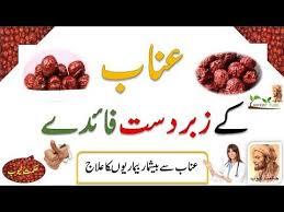 Unaab Ke Fayde Unab Benefits In Urdu Hindi Anab Ke Fayde In Urdu Hindi Youtube Health And Beauty Tips Beauty Tips For Teens Food Store