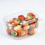 Wholesale Disposable Fruit Containers Supplier & Factory - Lesui