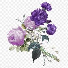 Purple Roses Bouquet Png Hand Drawn Vintage Illustration Premium Image By Rawpixel Com Hein Purple Roses Rose Bouquet Free Illustrations