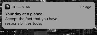 The copyright of all app reviews and images belongs to our editorial team, copying without attribution is forbidden. Co Star A Horoscope App That Will Shamelessly Bully You And Come To Know Everything About You By Allie Mckean Medium