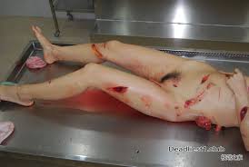 autopsy :: :: morbid :: xxx-files  funny cocks & best free porn: r34,  futanari, shemale, hentai, femdom and fandom porn