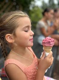 Turners Beach Berry Patch