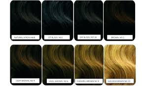 light brown hair color chart fooru me