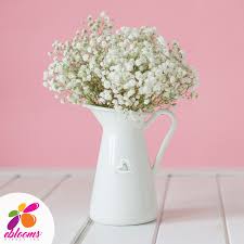 When you order fresh flowers online, they make beautiful gifts, any time of the year. Roses Promo Flowers Peonies Wedding Events Bouquets Arrangement Winter Spring Summer Bulk Flowers Online Bridal Bouquet Summer Diy Wedding Flowers