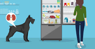 Iâ€™m posting this recipe due to several requests on how to go about cooking for your pets. Effective Tcvm Treatment For Kidney Disease In Dogs