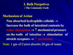 Stimulant laxatives are believed to stimulate nerve endings in the nerve plexuses of the bowel wall, increasing the movement of its content via several mechanisms. Drugs For Constipation Laxatives Purgatives Cathartics Ppt Video Online Download