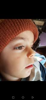 شبكة أخبار الضنية لايف ldn