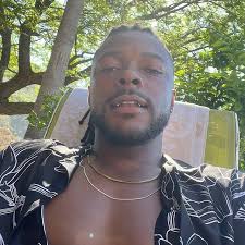 Kiaris (@gildedanimal) • Instagram photos and videos