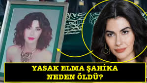 Bunun sebebi yeterince uyumamanız değil. Yasak Elma Sahika Nasil Oldu Nesrin Cavadzade Diziye Geri Donecek Mi