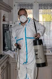 S'il y a peu de cafards dans la maison, ces insectes auront de l'espace et de la nourriture à volonté et, comme ils ne sortent que dans la pénombre, il est difficile de les rencontrer. Blattes Exterminateur Blattes Et Cafards Sur Lille Nuisibles Du Nord