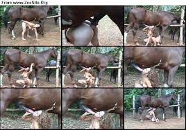 Horse Fuck 1 - ZooSex Tube - ZooSkool Site №1