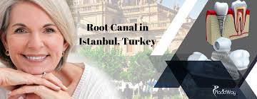 I am asking who much is the minimum living cost for an undergraduate student in malaysia if he was enjoying a scholarship? , has anybody any information that may be of help ? What Is The Average Price Of Root Canal In Istanbul Turkey