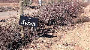 Los aljibes es una bodega enfocada y diseñada por y para crear vinos de alta expresión, funcional y moderna, dentro de un complejo arquitectónico de alto valor cultural. Bodega Los Aljibes Enoturismo De Calidad En Albacete Tu Hobbie Tu Viaje Blog Viajes