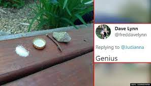Mosquito Trap Idea Goes Viral On Social Media Leaves Netizens Laughing Hard