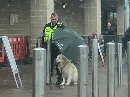 Home delivery with convenient 1 hour slots and new low prices. Some Heroes Wear Hi Viz Morrisons Security Guard Praised For Sheltering Dog Under Umbrella In Rain The Independent The Independent