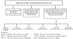 Flow Chart Of The Animal Experimental Design Download