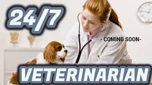 Maybe you would like to learn more about one of these? 24 Hour Vet In Canberra Australia Emergency Pet Hospital Canberra Area Youtube