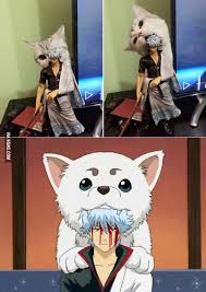 When Your Cat Watches Anime Too Much Anime Funny Anime Otaku Anime