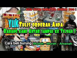 Nah itu tadi beberapa bahasa singkat atau istilah yang di gunakan dalam jual beli online burung para kicau mania di beberapa media online atau forum grub jual beli, semoga sangat membantu sahabat yang sehoby di dunia kicau mania. Tempat Jual Beli Burung Online Terlengkap Termurah Terpercaya Amanah Youtube