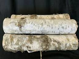 We did not find results for: White Birch Logs 3 Count 12 Inches X Approximately 3 Inches Diameter Ebay