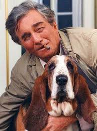 17 Hollywood Dogs ideas