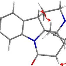 Image result for Schizozygia coffaeoides