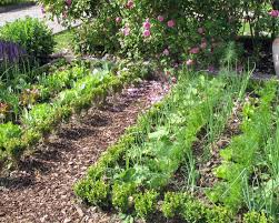 Check spelling or type a new query. Gemuseanbau In Mischkultur Mein Schoner Garten