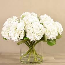 Maybe you would like to learn more about one of these? White Hydrangea Flower Arrangement In Coconut Grove Fl Luxury Flowers