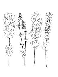 Bloom Baby Bloom Lavender Tattoo Lilac Tattoo Flower Drawing