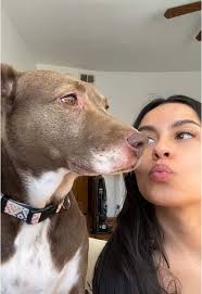 my baddest girl 💗 #fyp #ShowYourGlow #besties #dogsoftiktok #inthecrowd