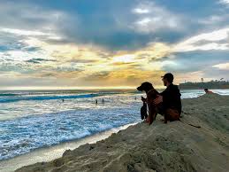 San Diego Community News Group San Diego To Reopen Piers Boardwalks Mission Bay Park Next Week
