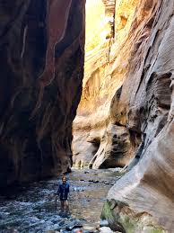 A popular choice is to hike about 3 miles in — to the stunning wall street section, the narrowest part of the narrows, where the walls soar to about 1,500 feet and the river width is at just 22 feet or so. The Narrows Hike Bottom Up 10 Things To Know Before You Go Cloris Creates