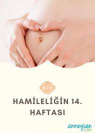 Sonunda 2 Trimestere Girdin 14 Haftalik Gebelikte Kadinlarin Bircogu Altin Cagini Yasar Cunku Artik Gebeli 10 Haftalik Gebelik Hamilelik 16 Haftalik Gebelik