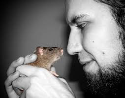 Images de Rat & humain – belleville