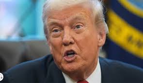 Virgin Islands Free Press