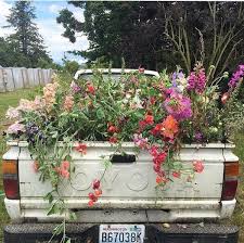 Pin By Miki On Grow Flower Truck Watercolor Flowers Flower Farm