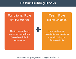 Belbin Team Roles Create A High Performance Team