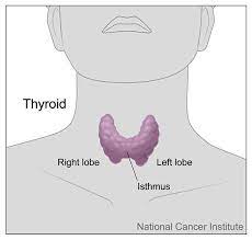 Hoarseness or other voice changes. Test Identifies Thyroid Nodules That Don T Require Surgery National Cancer Institute
