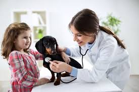 Pet health and wellness that's one step ahead. The Best Veterinary Clinic S In San Diego North County 2018 Guide Ync