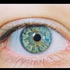 Pin By Leer Tr On Goz Resimleri Eye Album In 2020 Rare Eyes Beautiful Eyes Color Rare Eye Colors