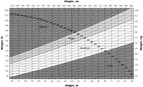 Nutrition In Pregnancy Glowm