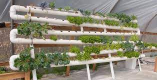 Progettazione Di Impianti Acquaponici Capitolo 4 Akuadulza