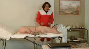Les bronzés font du ski 1979. Copain Comme Cochon Les Bronzes Font Du Ski Youtube