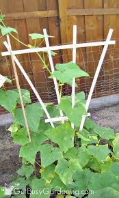 We did not find results for: Growing Cucumbers On A Trellis Reasons To Grow Them Vertically
