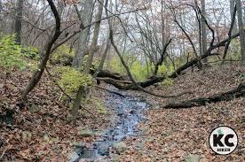 Larry's Trail: A rugged hike at Lake Jacomo