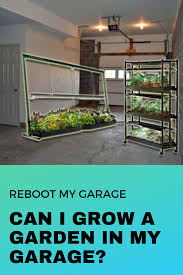 Grow A Garden In The Garage Grow Bags Growing Growing Plants
